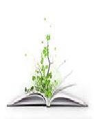 М. А. Салье. Книга назидания